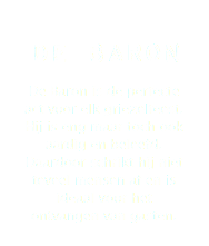 De Baron De Baron is de perfecte act voor elk griezelfeest. Hij is eng maar toch ook aardig en beleefd. Daardoor schrikt hij niet teveel mensen af en is ideaal voor het ontvangen van gasten.